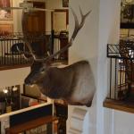 OTRA2013_1557 (July 17, 2013)